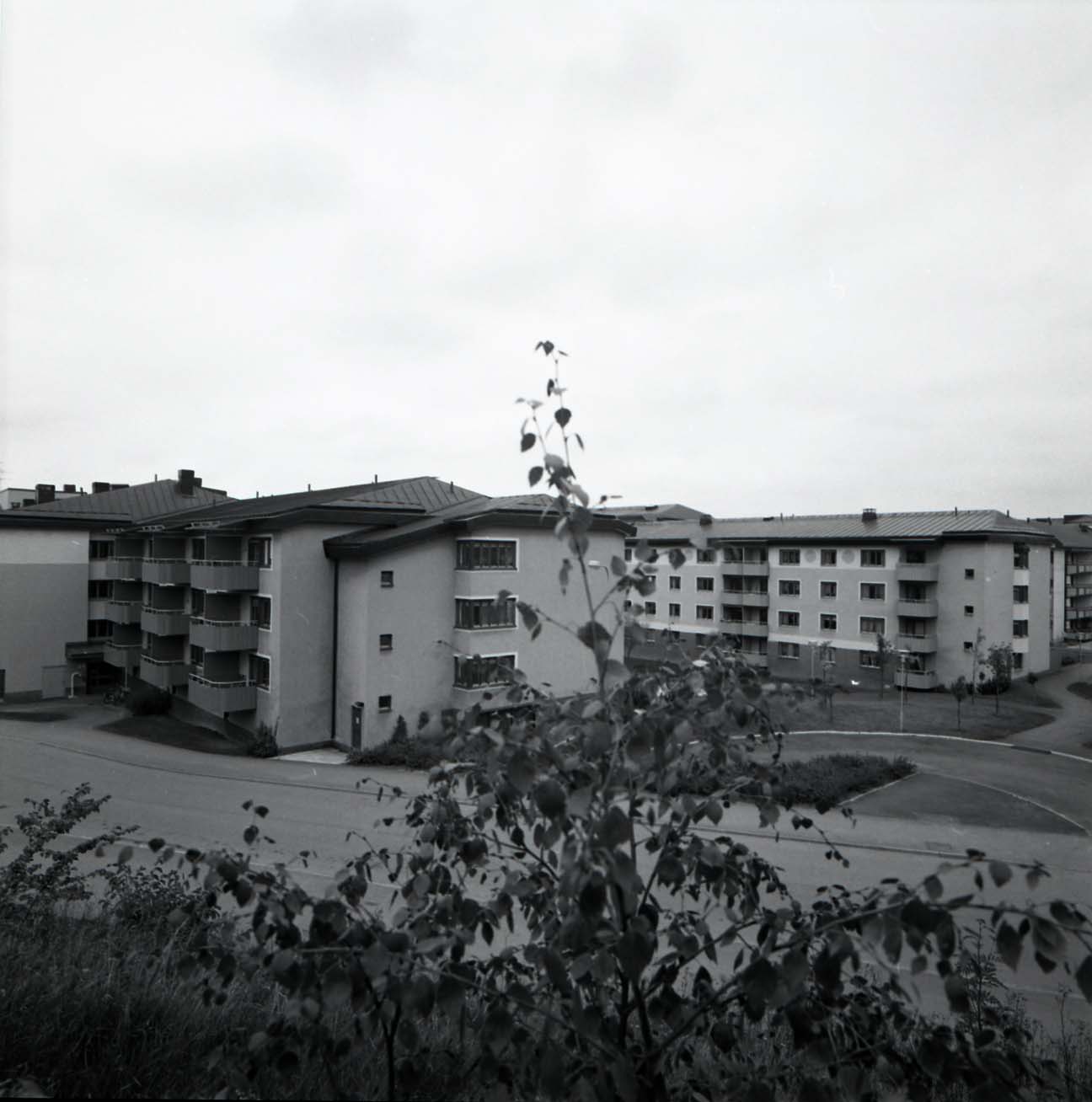 Dalen, Åstorpsringen 1982